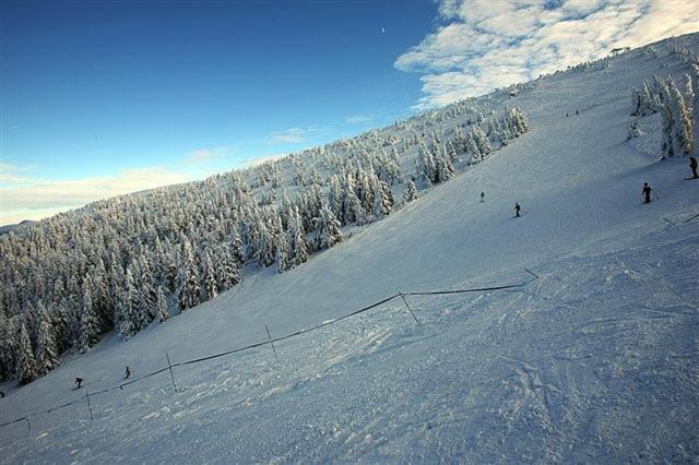 Osrodek Beskid Fizjo & Spa Korbielów Eksteriør bilde