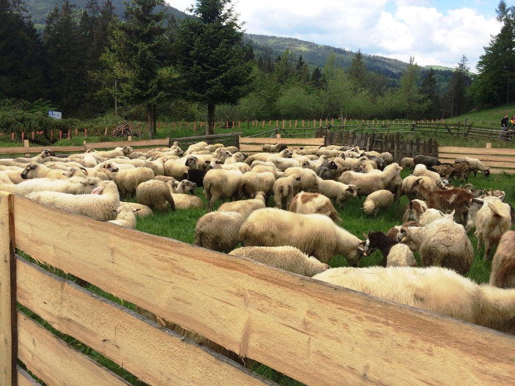 Osrodek Beskid Fizjo & Spa Korbielów Eksteriør bilde